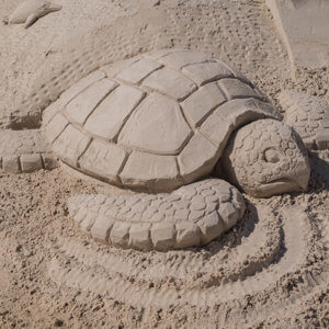 Sand sculpture of a turtle.