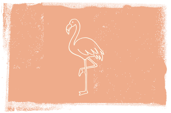 Vacation rentals and homes on Fort Myers Beach